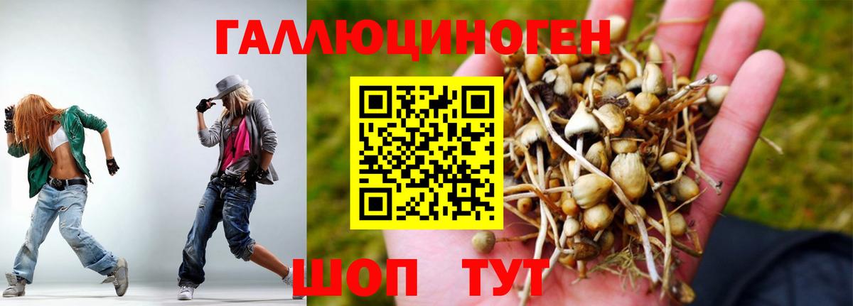 Галлюциногенные грибы Psilocybine cubensis  Вход с VPN  Балтийск 